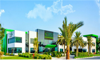 아랍에미리트로 한의약 진출하기①